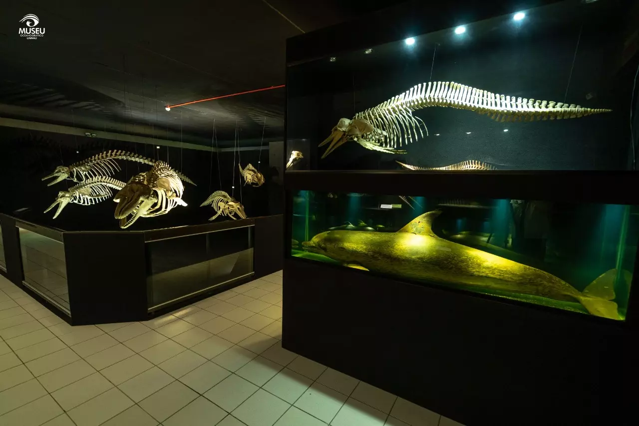 Museu Oceanográfico de Piçarras